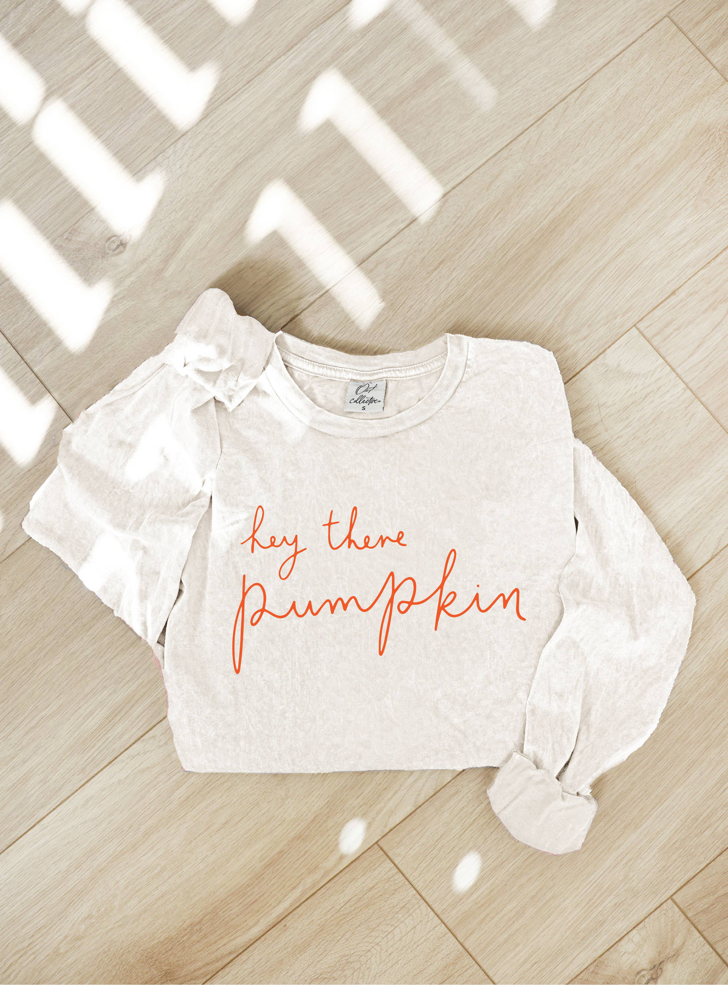 HEY THERE PUMPKIN Mineral Washed Long Sleeve Graphic